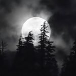 dark moon memorabilia vstock