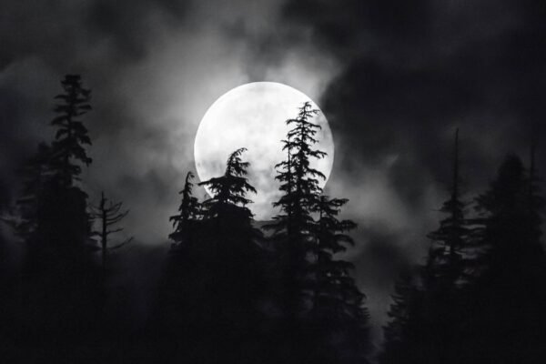 dark moon memorabilia vstock